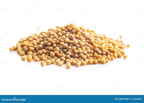 Yellow Mustard Seeds Stock Image Image Of Condiment 158967081