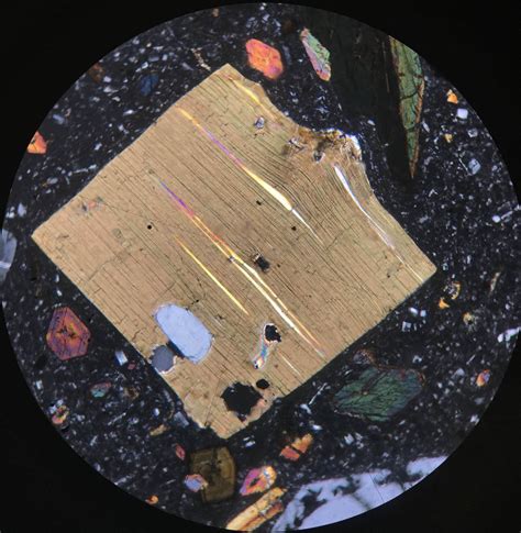 Thin Section Of Biotite Amphibole And Plagioclase Geology