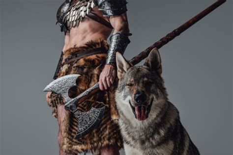 200 Viking Dog Names Warriors And Norse Naming