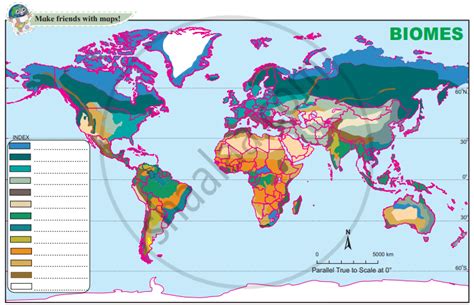 Abiotic factors of a particular biome, be it a tropical rainforest or a grassland, affects what grows there and what can and cannot thrive there. 1) Various biome regions have been shown on the map. Considering the latitudinal location ...