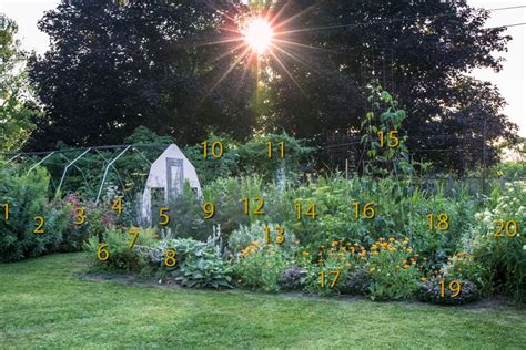 Butterfly Garden Layout Design Elices Gardening Time