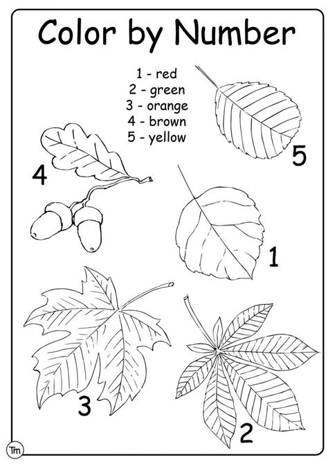 Fall Leaf Crafts And Activities For Preschool Fall