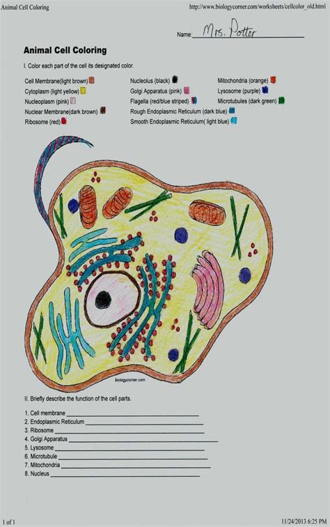Free animal cell and plant cell coloring pages. Cell Coloring Worksheets 26 Inspirational Animal Cell ...