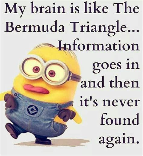 Top 40 Funny Minions Quotes And Pics Quotes And Humor
