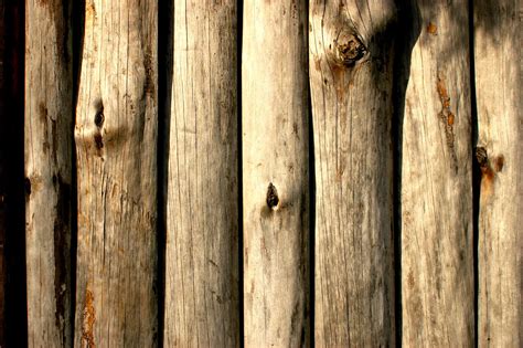 wood Free Stock Photo | FreeImages