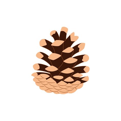 Pine Cone Isolated Illustration 3975534 Vector Art At Vecteezy