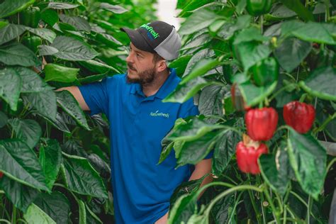 Kicking Off A Strong 2018 Growing Season Naturefresh Farms