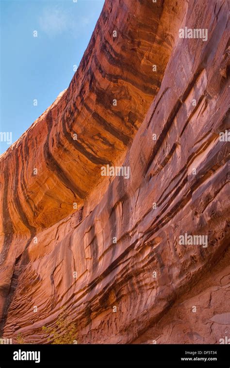 Sandstone Canyon Walls Streaked With Desert Varnish Grand Staircase