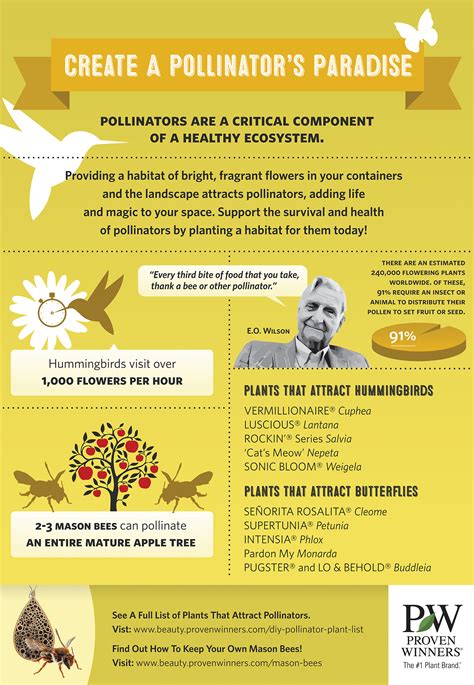 Proven Winners Proven Pollinators 24x34 Poster Proven Winners