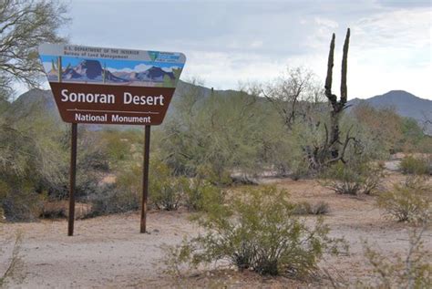 North Maricopa Mtn Wilderness Area Picture Of Sonoran Desert National