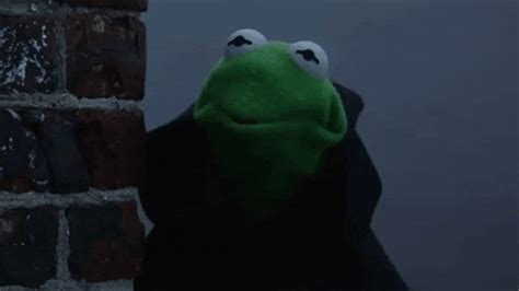 Kermit The Frog Meme Gif
