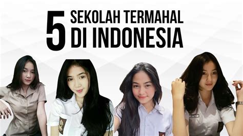 Dahulu, tanaman ini dipandang sebelah mata, tetapi kini kadaka menjadi salah satu tanaman termahal yang banyak diburu. SEKOLAH TERMAHAL DI INDONESIA TERMEWAH TERBAIK - YouTube