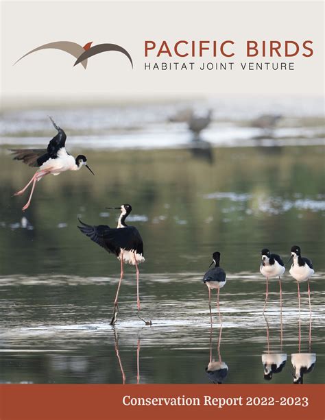 Six Wins And More In The 2022 2023 Conservation Report Pacific Birds