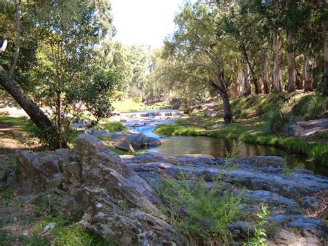 Where did the name achira biscuit come from? Sitio Web: Achiras.gov.ar