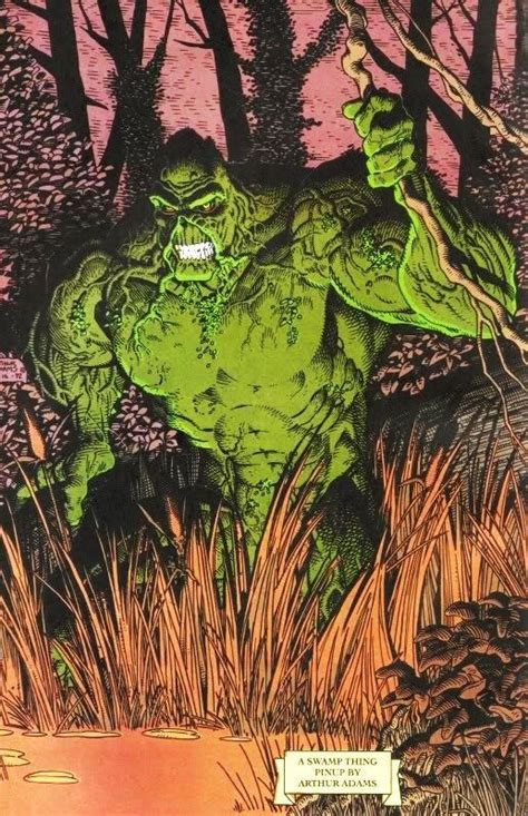 Swamp Thing Dc Comics Justice League Dark Graphic Novel Art Ancient