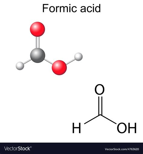 Chemical Formula And Model Formic Acid Royalty Free Vector