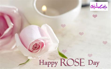 Pin By Options Castle On Rose Day Rose