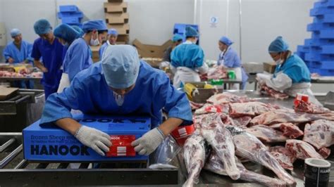 Flock On Mongolia Meat Exporters Turn To Iran S Halal Markets Euronews