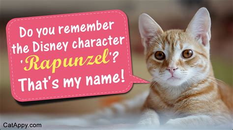 Cute Cat Names From Disney Movies