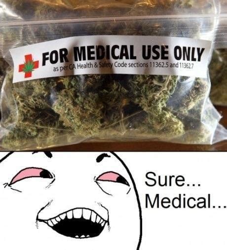 Stoner Humor Funny Pictures Funny Pictures And Best Jokes Comics