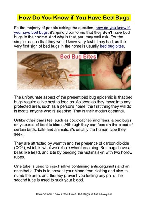 Concept 80 Of How To Tell If You Have Bed Bugs In Your Bed