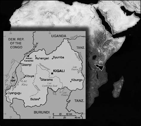 The rwandan genocide occurred between 7 april and 15 july 1994 during the rwandan civil. The Rwandan genocide - The story of the genocide of Rwanda ...