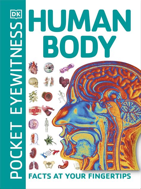 Pocket Eyewitness Human Body By Dk Penguin Books Australia