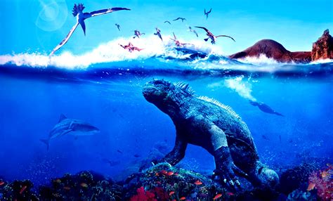 17,284 likes · 281 talking about this · 77,211 were here. Galapagos Islands Tours, Weather, Hotels, Location, Map ...