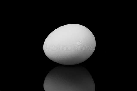 White Egg On Black Background Stock Photo Image Of Drink Object