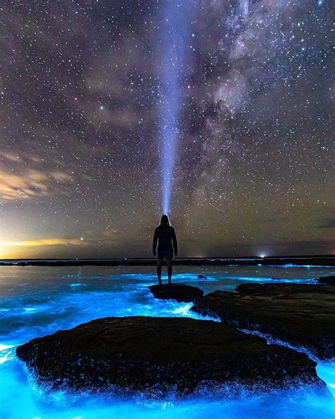 Vacations Travel Nature On Instagram Bioluminescent Plankton In