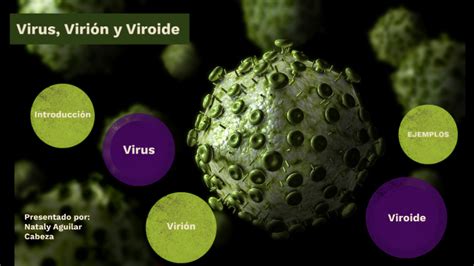 Virus Virión Y Viroide By Nataly Aguilar On Prezi