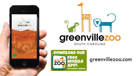 Have A Wild Time At The Greenville Zoo 30 Youtube
