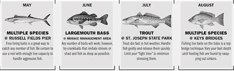 Florida Fishing Calendar Game And Fish