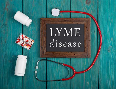 How To Treat Lyme Disease Treatment Options Lyme Support