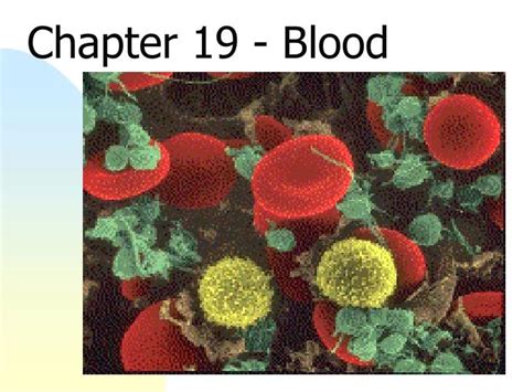 Ppt Chapter 19 Blood Powerpoint Presentation Free Download Id