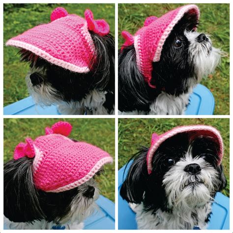 Pattern For A Crocheted Small Dogs Visorhat Pdf File Etsy