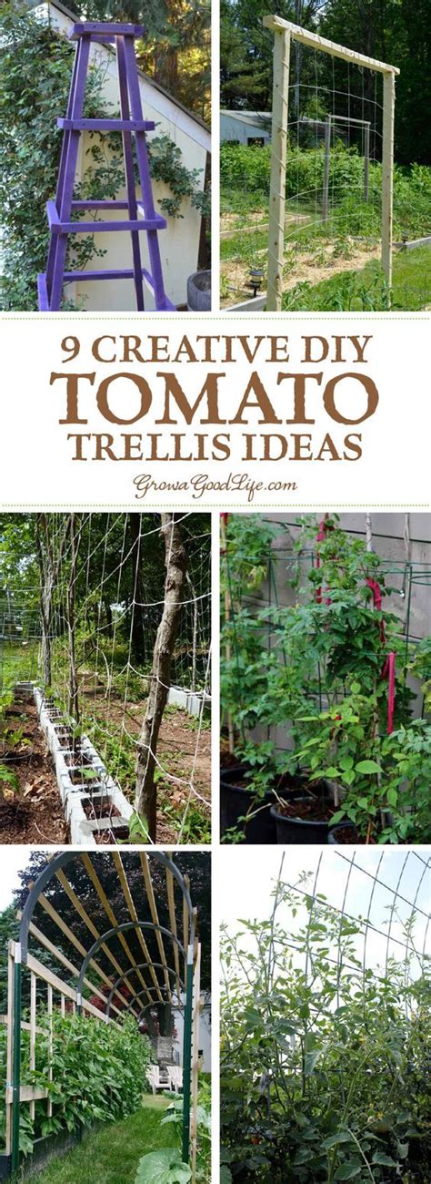 Diy Tomato Trellis For Pots 32 Diy Tomato Trellis And Cage Ideas For