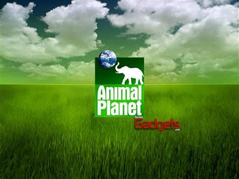 Animal Planet Celebra El DÍa De La Tierra Con Un Especial De