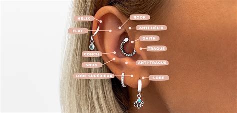 Types De Piercings Et De Trous Doreille San Saru