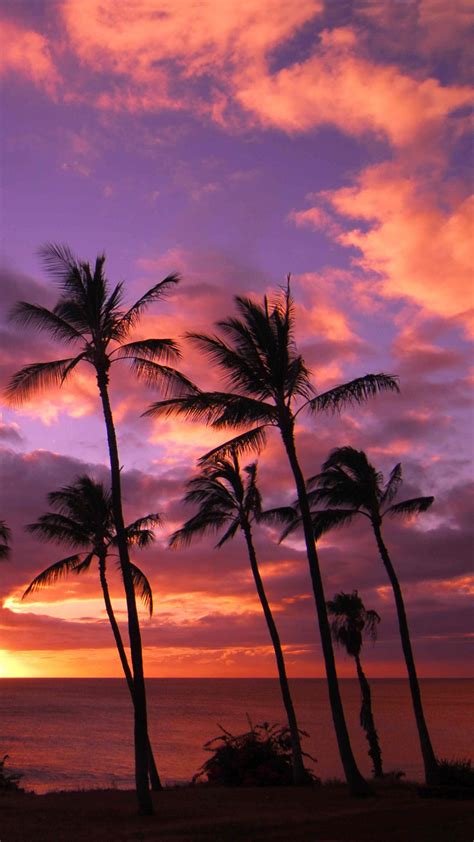 Hawaii Sunset Wallpapers Top Những Hình Ảnh Đẹp