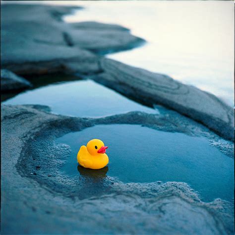 Duck Duckie Ducky Puddle Rubber Ducky Image 137962