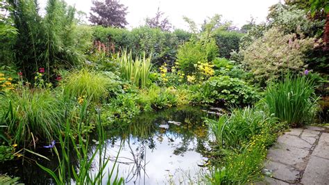 It is found in the himalayas, china and myanmar (burma). Prairiebreak: Branklyn: yet another breathtaking Scottish ...