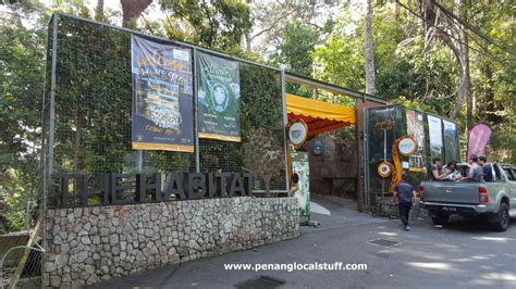There is a monkey cup(pitcher plants) garden but entrance fees. Visiting The Habitat Penang Hill - Penang Local Stuff