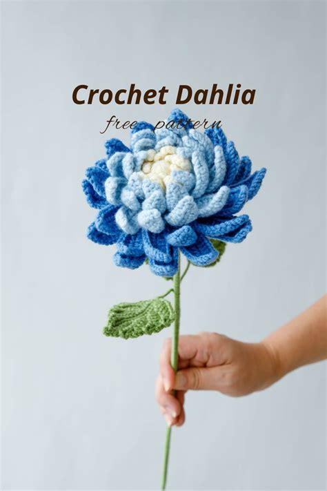 Crochet Dahlia Free Pattern With Video Hookok