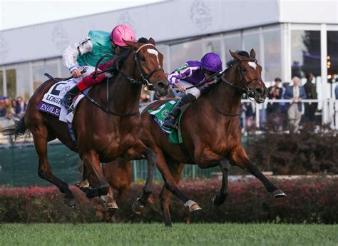 Performance of the Week: Enable Takes Breeders' Cup Turf | HORSE NATION