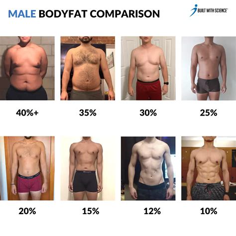 body recomposition calculator build muscle and lose fat