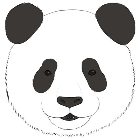Panda Face Drawing For Kids