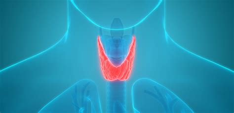 Thyroid And Parathyroid Gland Tumors Symptoms And Treatment Bssny