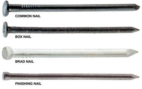 Four Types Of Nails Are Shown Common Box Brad And Finishing Types
