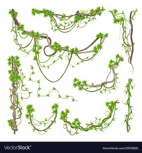 How To Draw Jungle Vines At How To Draw